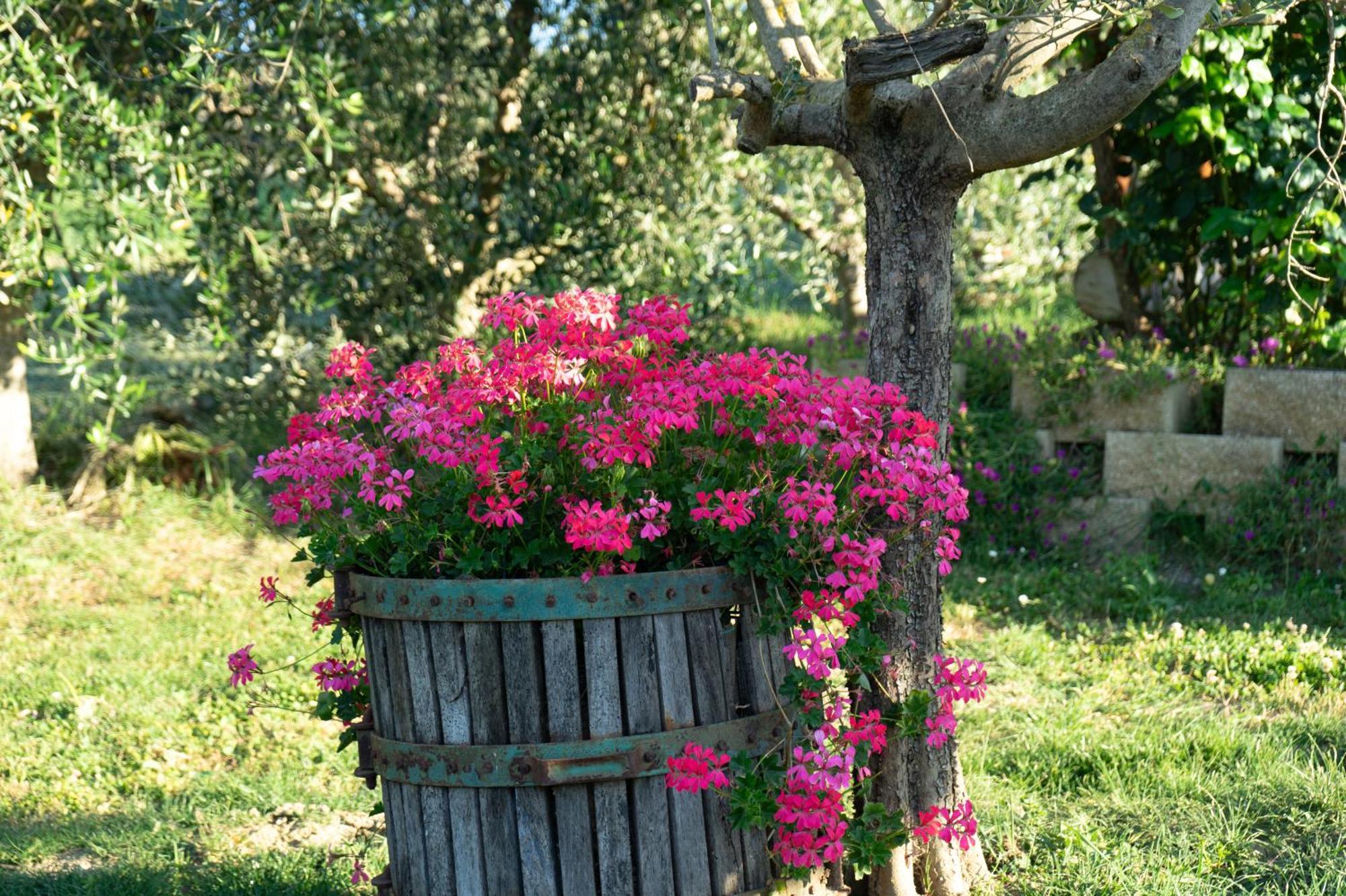 Relaxing Farmhouse San Marino Luaran gambar