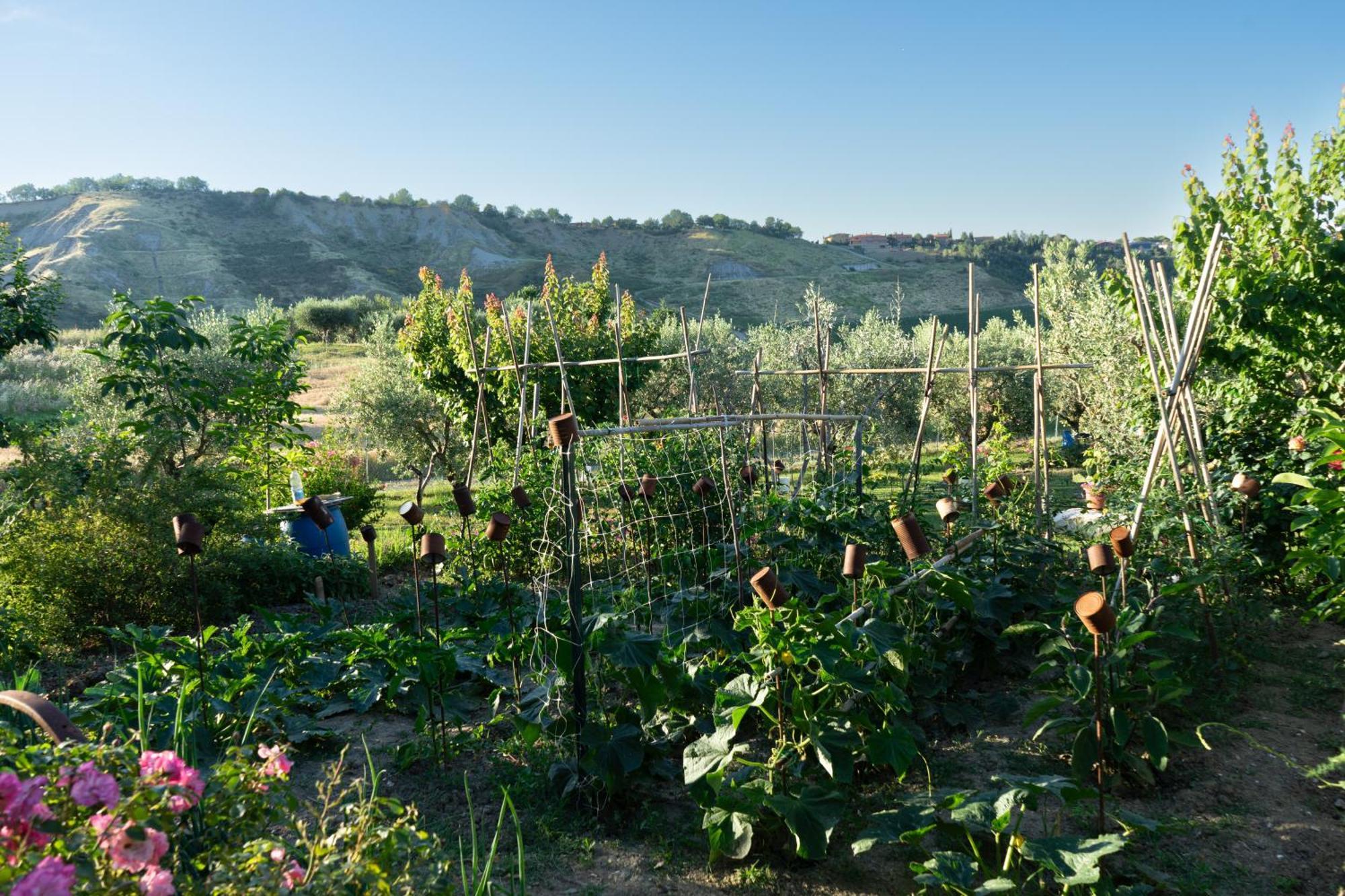 Relaxing Farmhouse San Marino Luaran gambar