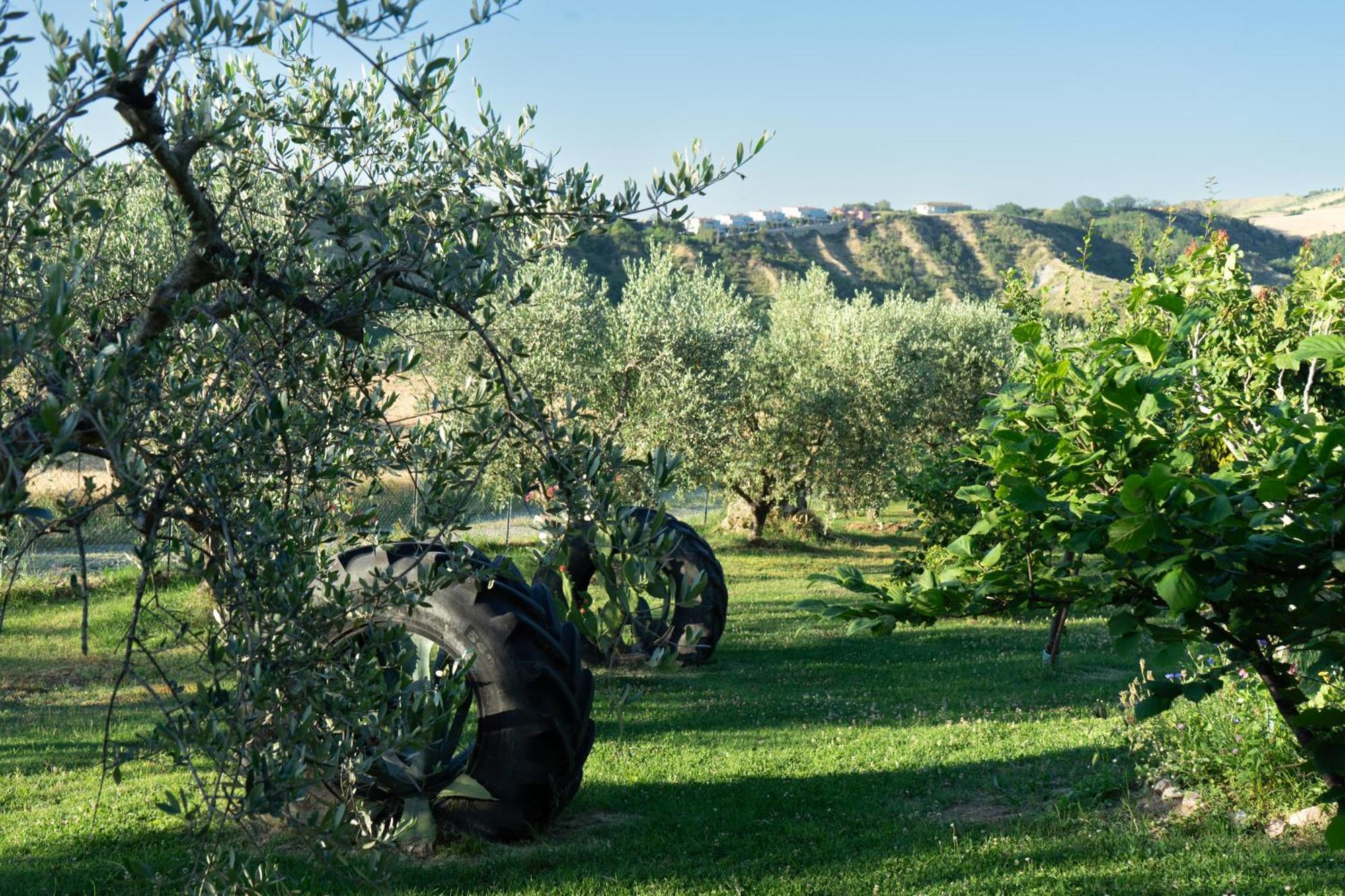 Relaxing Farmhouse San Marino Luaran gambar